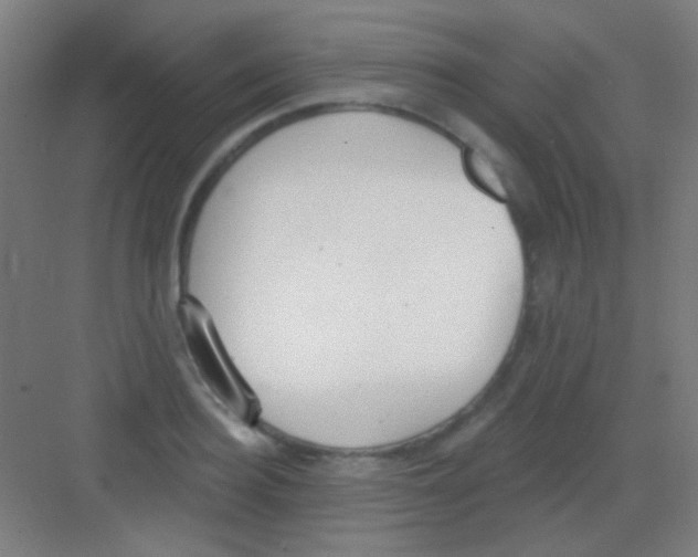 X0000081280940200702081949