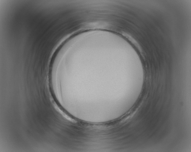 X0000081280941200702081949