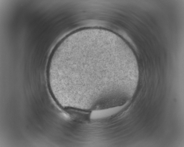 X0000081280943200702081949