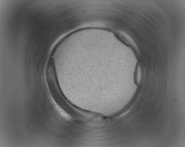 X0000081280944200702081949