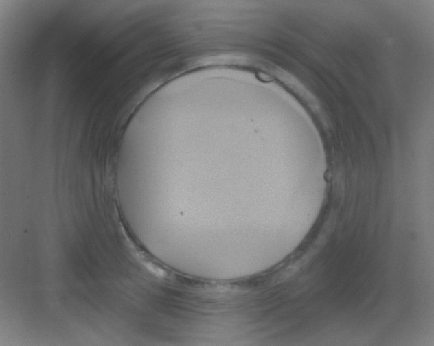 X0000081280945200702081949