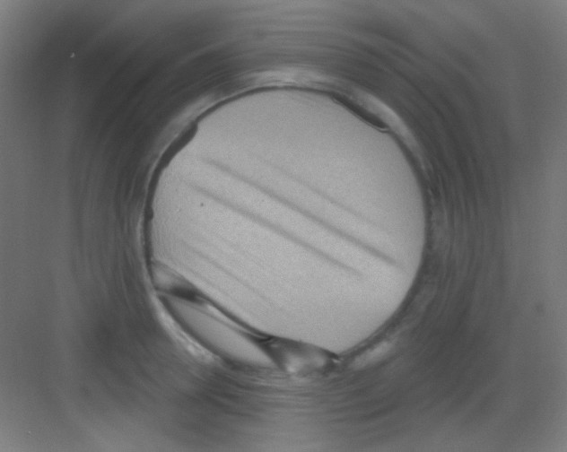 X0000081280946200702081949