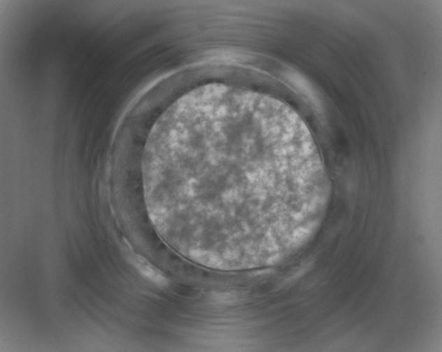 X0000081280948200702081949