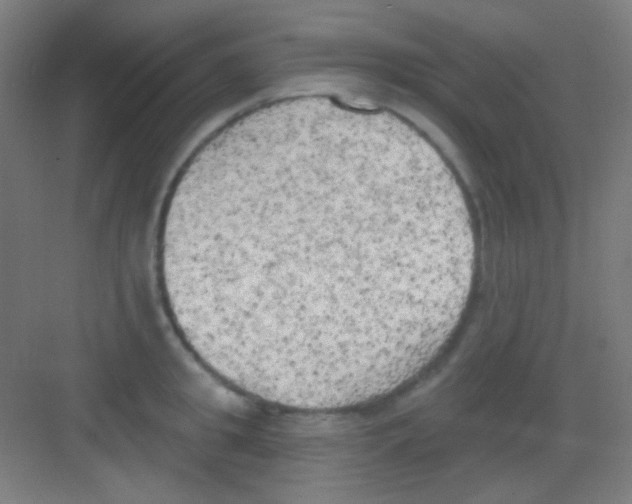 X0000081280949200702081949