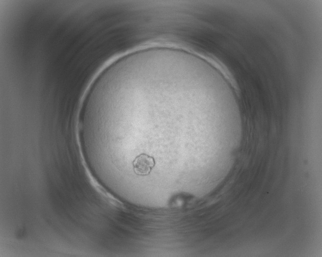 X0000081280950200702081949