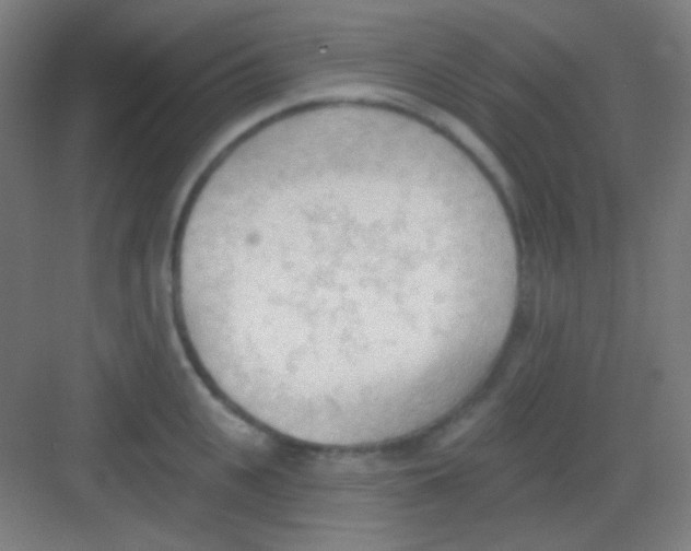 X0000081280951200702081949