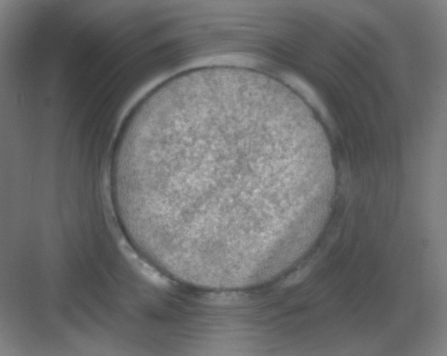 X0000081280952200702081949