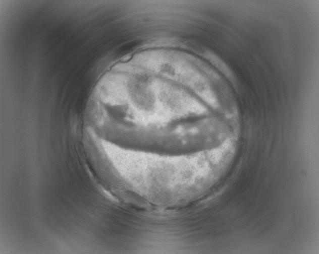 X0000081280953200702081949