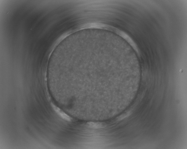 X0000081280954200702081949