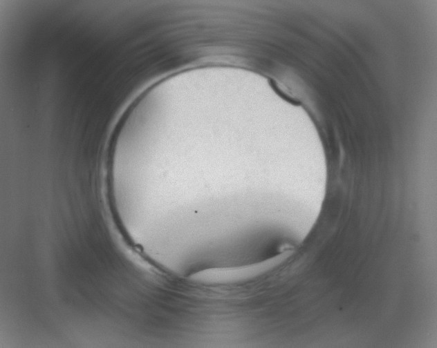 X0000081280955200702081949