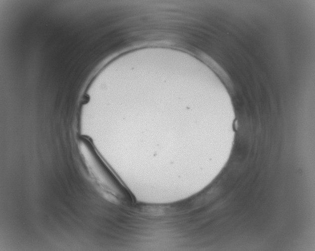 X0000081280956200702081949