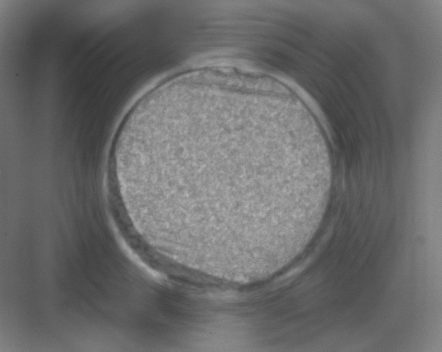 X0000081280957200702081949