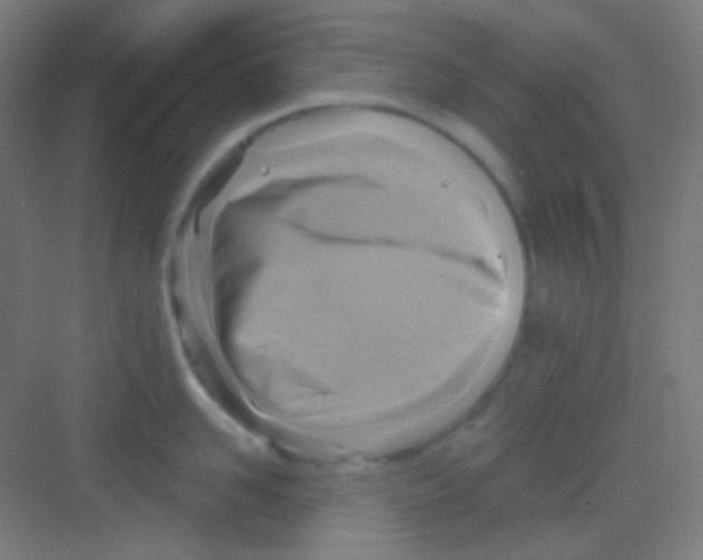 X0000081280958200702081949