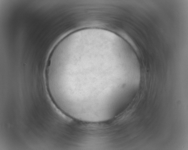 X0000081280959200702081949