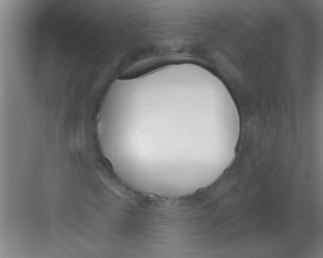 X0000081280961200702081948