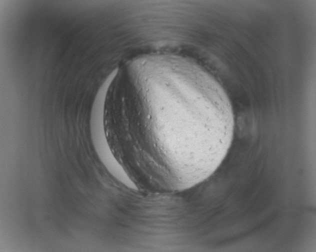 X0000081280963200702081948