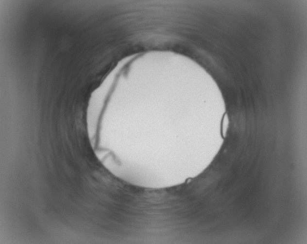 X0000081280964200702081948