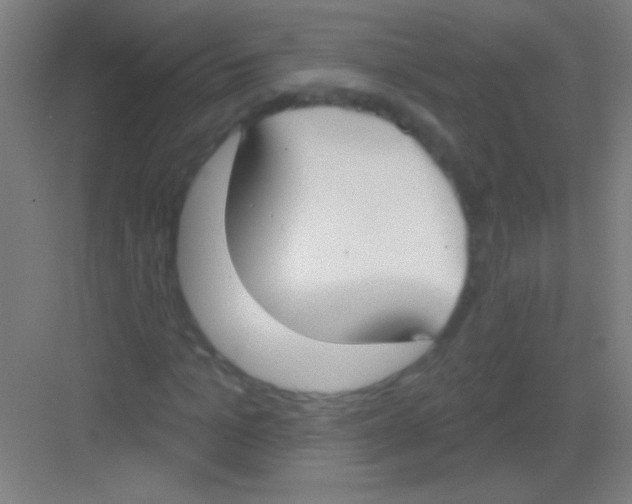 X0000081280965200702081948