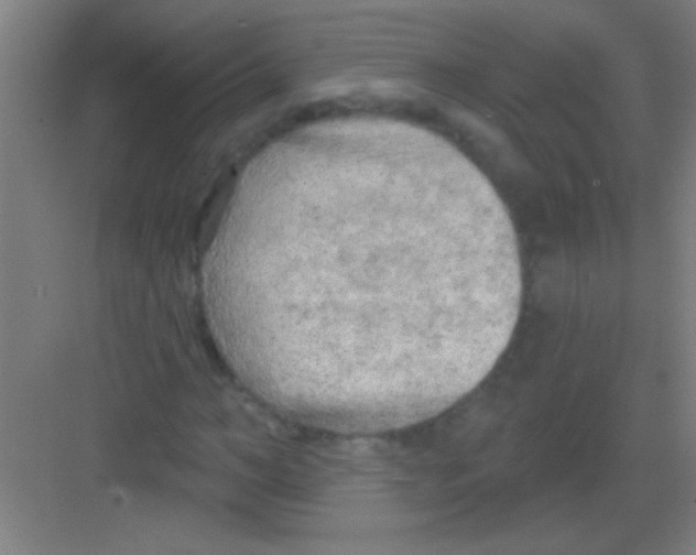 X0000081280966200702081948