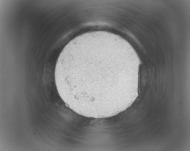 X0000081280967200702081948