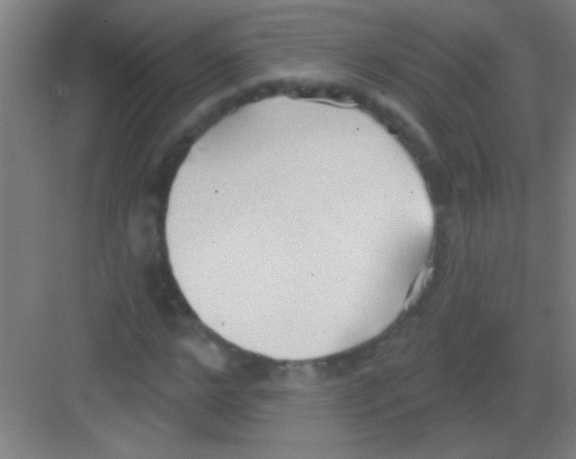 X0000081280968200702081948