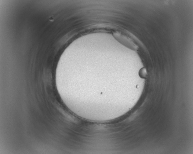 X0000081280969200702081948