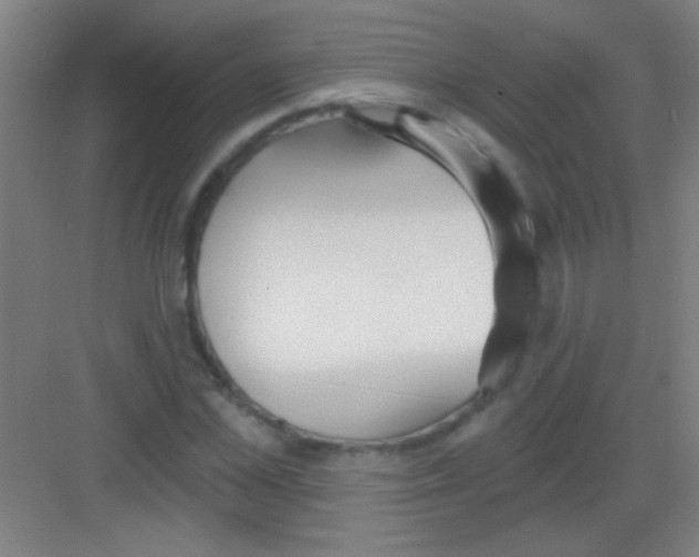 X0000081280973200702081948