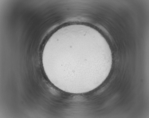 X0000081280974200702081948