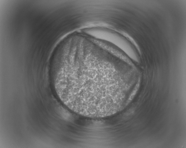 X0000081280975200702081948