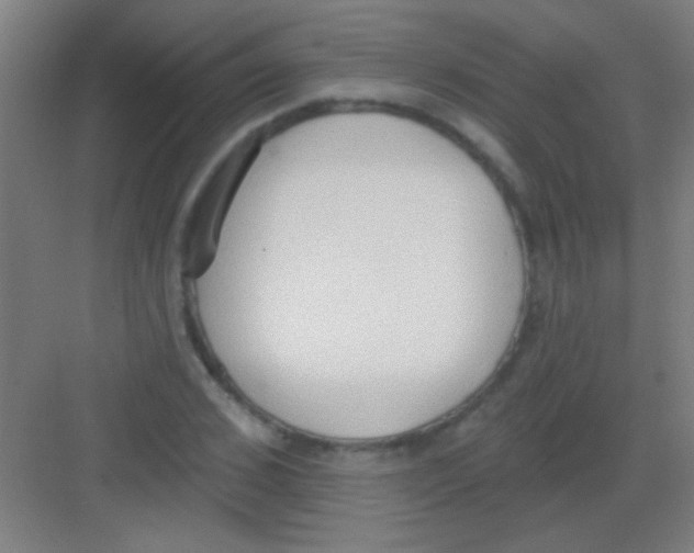 X0000081280976200702081948