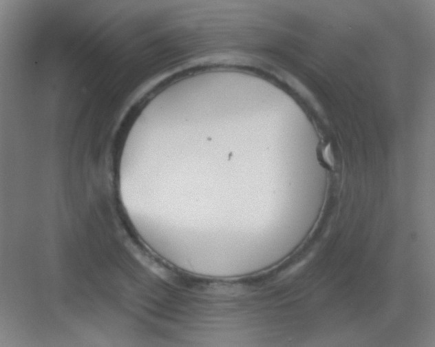 X0000081280981200702081948