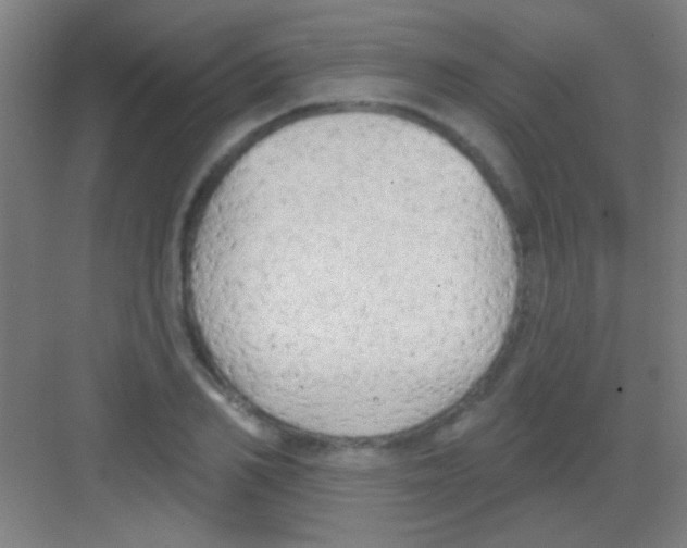 X0000081280982200702081948