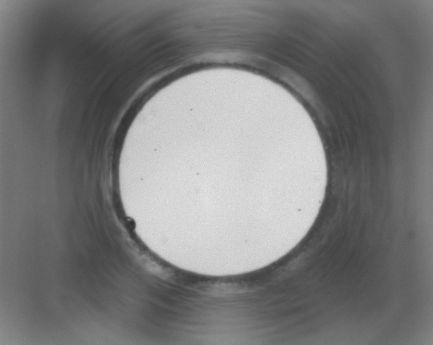 X0000081280984200702081948