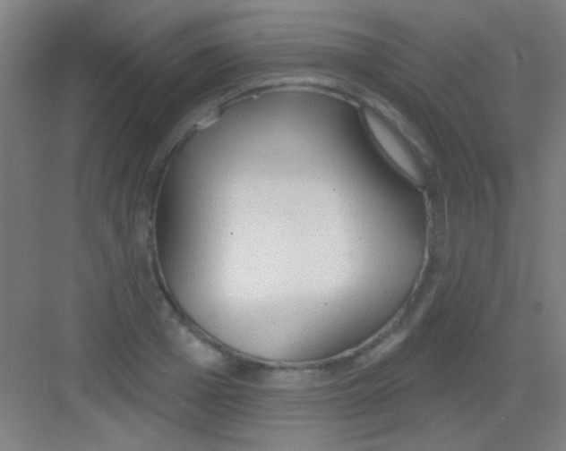 X0000081280985200702081948