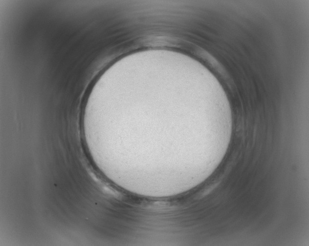 X0000081280986200702081948