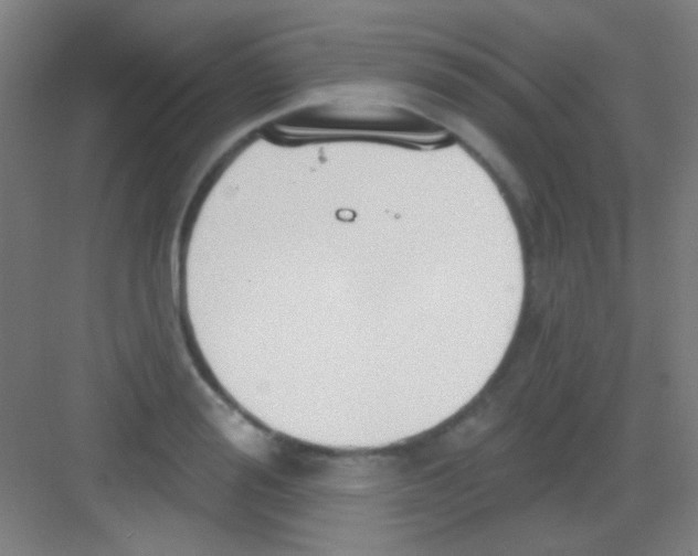 X0000081280988200702081948