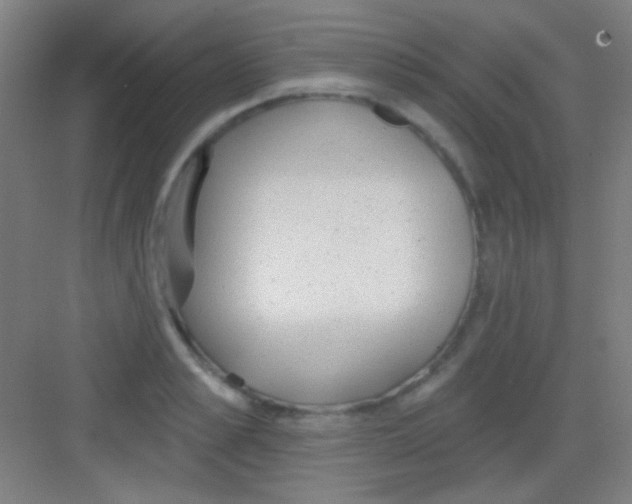 X0000081280989200702081948