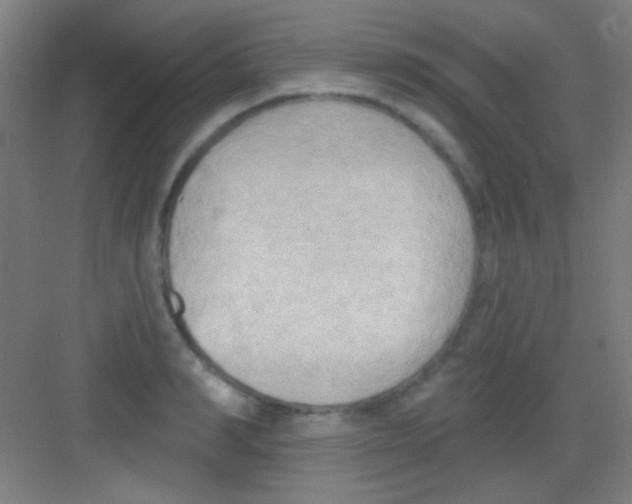 X0000081280990200702081948