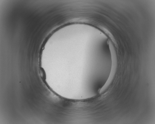 X0000081280992200702081948