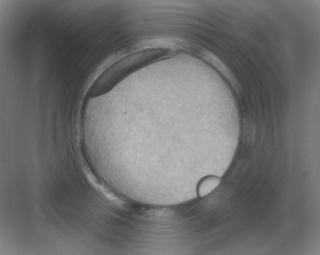 X0000081280994200702081948