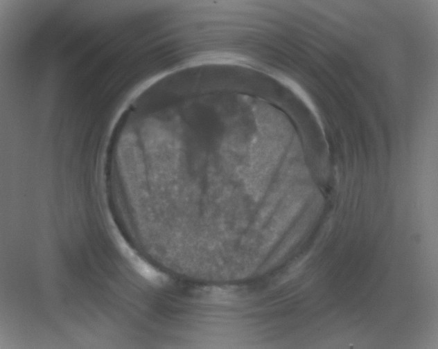 X0000081280995200702081948