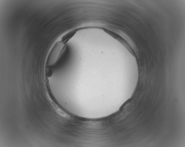 X0000081280996200702081948