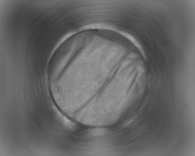 X0000081280998200702081948