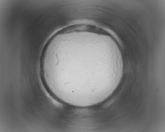 X0000081280999200702081948