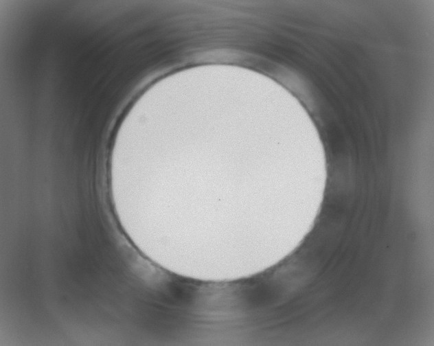 X0000081281000200702081948