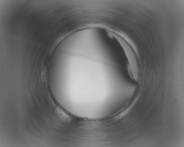 X0000081281001200702081948