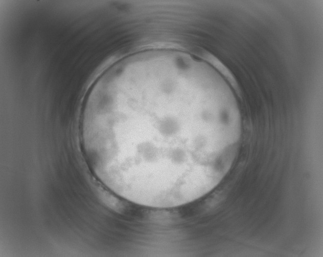 X0000081281002200702081948