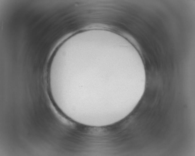 X0000081281003200702081948