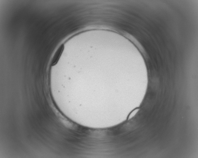 X0000081281004200702081948