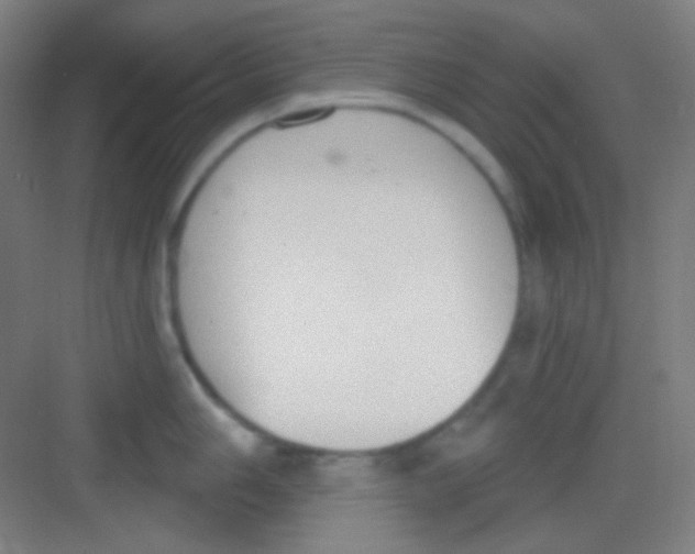 X0000081281006200702081948